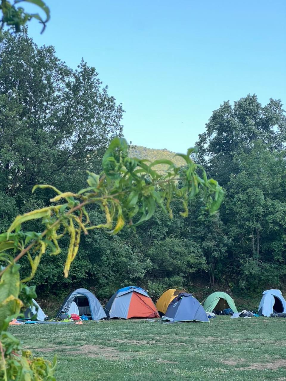 Отель Camp Oaza,Lipa Цетине Номер фото